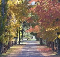 Wombeyan Caves - SA Accommodation