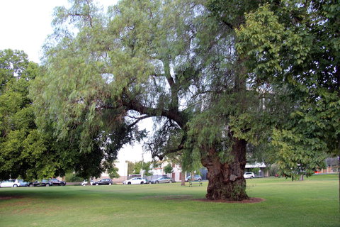 Adelaide Central Apartment - 3BR, 2Bath & Carpark - SA Accommodation 3