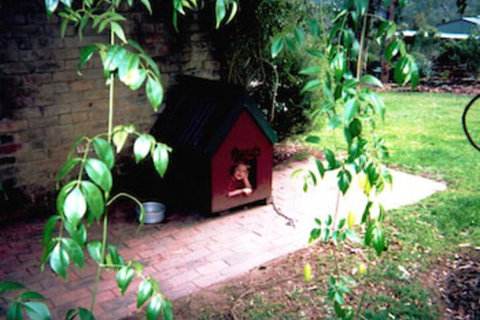 Kurrajong Trails And Cottages - SA Accommodation 1