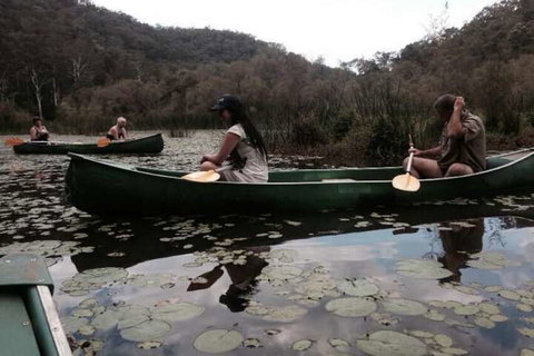 Kurrajong Trails And Cottages - SA Accommodation 3