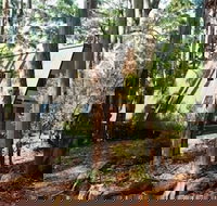 Green Leaves Cabin - SA Accommodation