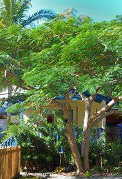 Amber Gardens Guesthouse - SA Accommodation 0