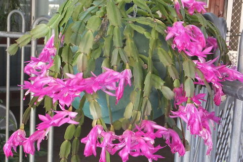 Kathys Place Bed And Breakfast - SA Accommodation 1