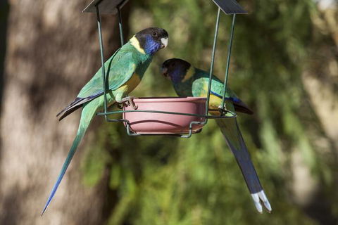 Kathys Place Bed And Breakfast - SA Accommodation 2