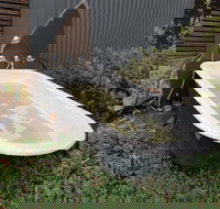 William Hunts Retreat Cypress Studio - SA Accommodation