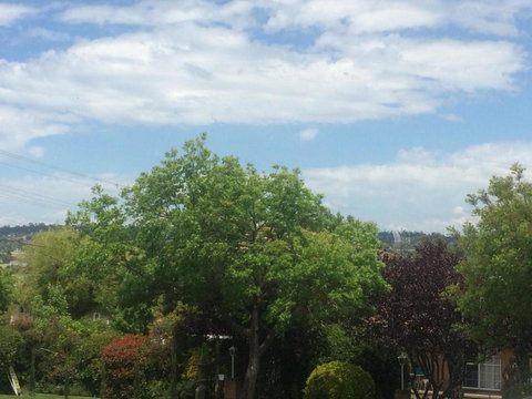 Costa Park Cottage Dio Armidale - SA Accommodation 3