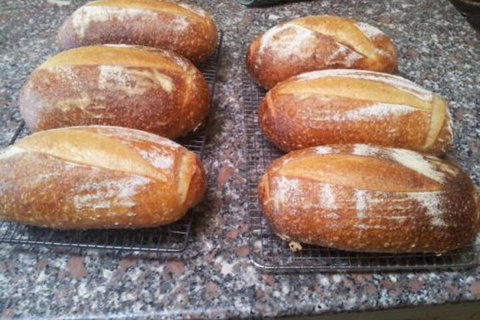 Appin Homestay B & B - SA Accommodation 6