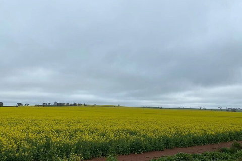 Apollo Motel Parkes - SA Accommodation 2