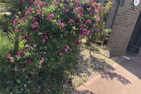 Apple House - SA Accommodation 1