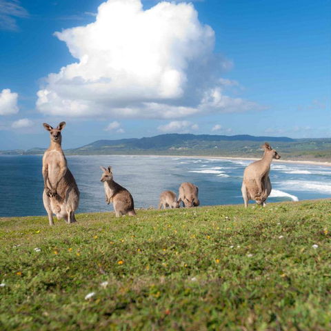FAMILY ISLAND GETAWAY BEACHFRONT APARTMENT - SA Accommodation 4