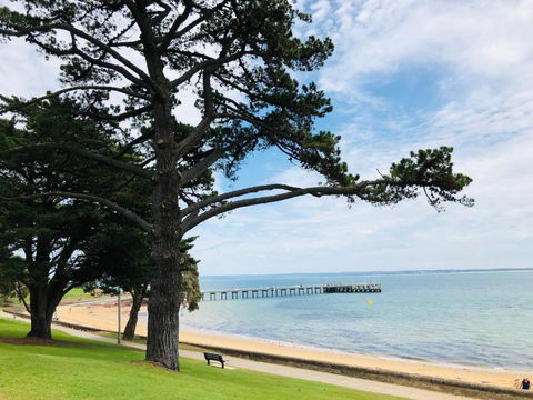 FAMILY ISLAND GETAWAY BEACHFRONT APARTMENT - SA Accommodation 3