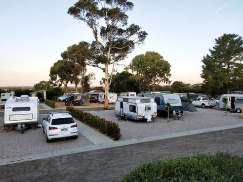 Murray Bridge Tourist Park - SA Accommodation 4