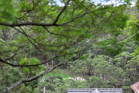 ALAN1 Leafy Tranquil Home - SA Accommodation 3