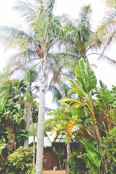 Yallingup Lodge Spa Retreat - SA Accommodation 1