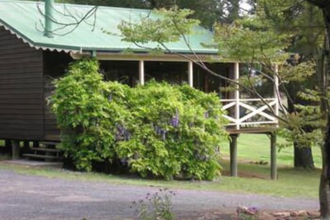 Madison's Mountain Retreat - SA Accommodation 1