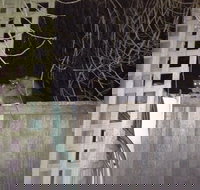 Richmond Cottages Tasmania - SA Accommodation