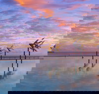 Global Backpackers Cairns - SA Accommodation