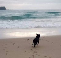 Breakers at Mudjimba Beach - SA Accommodation