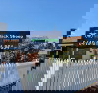 Black Sheep Motel Goulburn - SA Accommodation