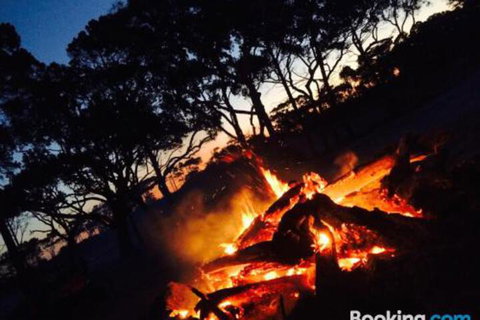 COONARR BEACH ( BUNDABERG )CAMPING - SA Accommodation 3