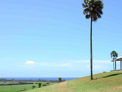 ROSE VALLEY Gerringong 4pm Check Out Sundays - SA Accommodation 0