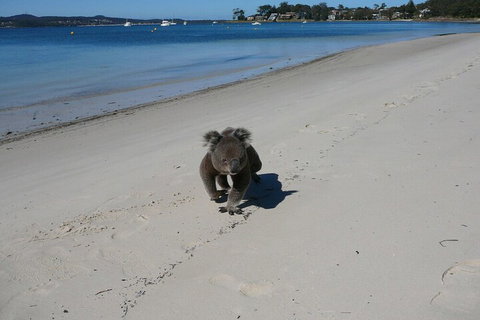 The Mitchells Waterfront Bed & Breakfast - SA Accommodation 7