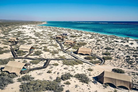 Sal Salis - SA Accommodation 1