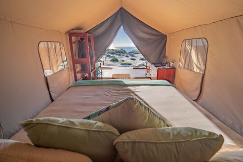 Sal Salis - SA Accommodation 5