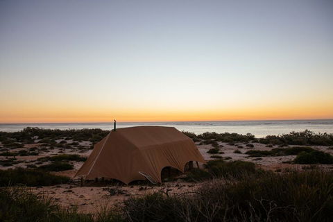 Sal Salis - SA Accommodation 7