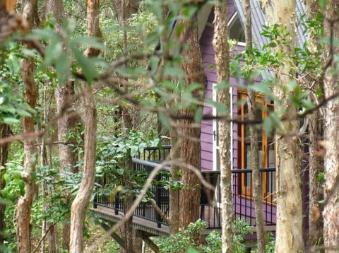 Amytis Gardens Retreat & Day Spa - SA Accommodation 1