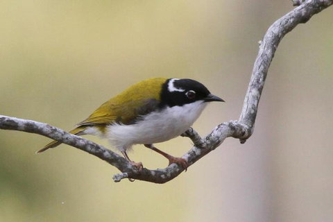 Tracks End Retreat - SA Accommodation 5