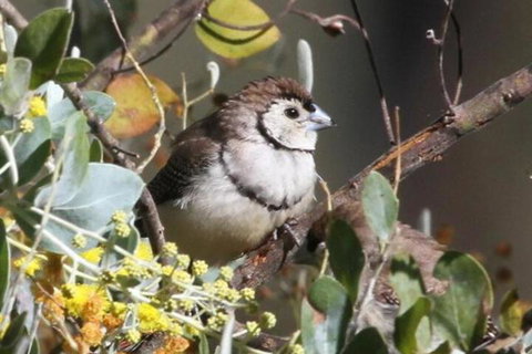 Tracks End Retreat - SA Accommodation 6