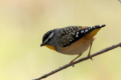 Tracks End Retreat - SA Accommodation 7