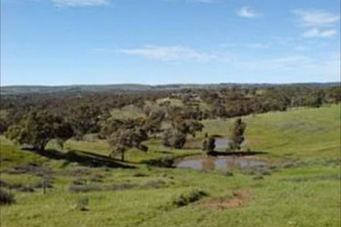 Clare View Accommodation - SA Accommodation 6
