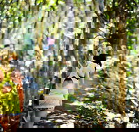 Cashelmara Beachfront Apartments - SA Accommodation