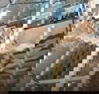 Platinum Suites Fremantle - SA Accommodation