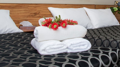 Aalbany Motel - SA Accommodation 5