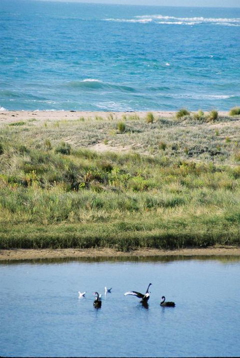 Apollo Bay Guest House - SA Accommodation 6