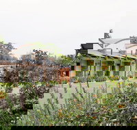 A Must At Coonawarra - SA Accommodation