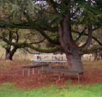 Auburn Shiraz Motel - SA Accommodation