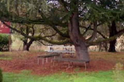 Auburn Shiraz Motel - SA Accommodation 0