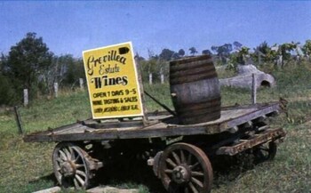 Bega Village Motor Inn - SA Accommodation 0