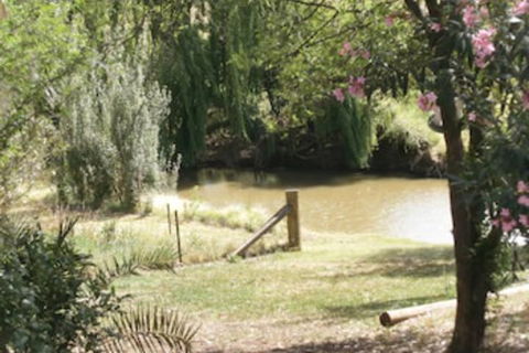 Kellys Motel Oakey - SA Accommodation 5
