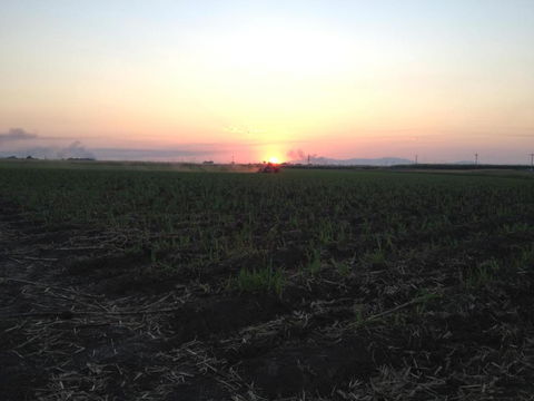 Plantation Park Motor Inn - SA Accommodation 5