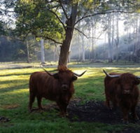 Dingley Dell - SA Accommodation