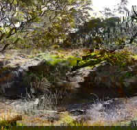 Green Gully House - SA Accommodation