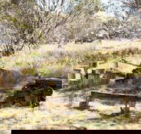 Wrens View - SA Accommodation