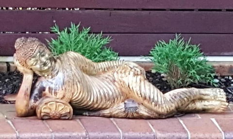 Ballina Palms Boutique Motel - SA Accommodation 1