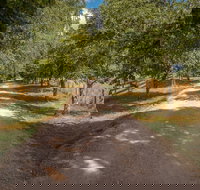 Glencoe Country BB - SA Accommodation