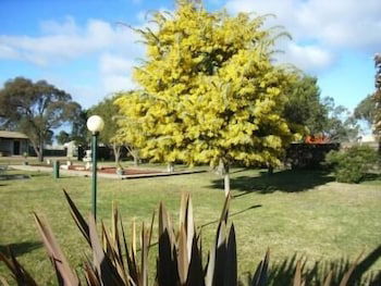 Bairnsdale Main Motel - SA Accommodation 0
